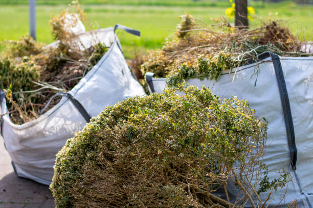 Best Construction Debris Removal  in Shady Cove, OR